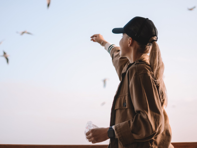 pexels-gül-işık-3292558