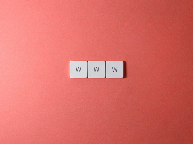 pexels-miguel-á-padriñán-2882690