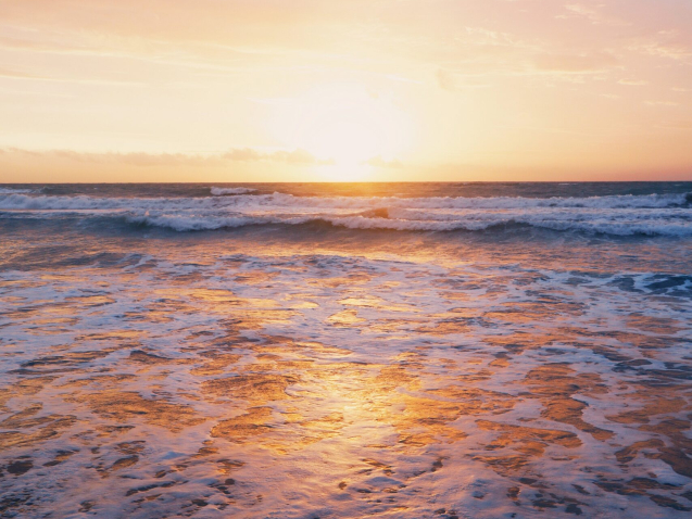 pexels-kevin-menajang-982673